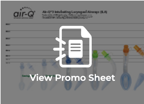 Screen Shot 2022-08-30 at 11.37.14 AM