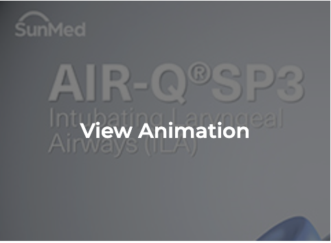 Screen Shot 2022-08-30 at 11.37.21 AM