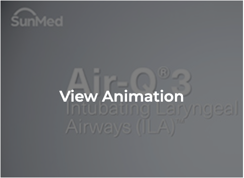 Screen Shot 2022-08-30 at 11.37.28 AM